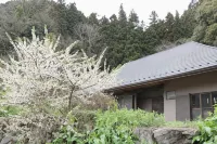 Villa Tabuchi -  case vacanza in affitto