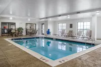 Comfort Suites Manheim - Lancaster Hotels in East Donegal Township