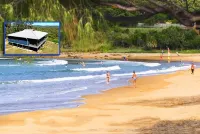 Beautifully located apartment, seconds to the bush, minutes from the beach Hotels near Bush Heritage Paperbark Forest Boardwalk