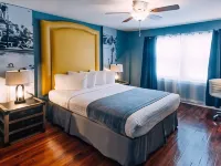 Hollander Hotel - Downtown St. Petersburg Hotels near 400 Beach
