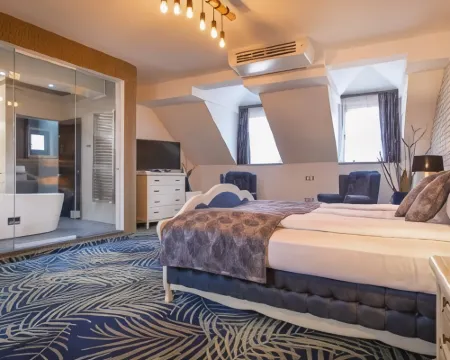 Art Hotel Hotele w: Sibiu