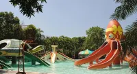 DJ Paradise Hotel