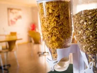 櫻花盛開汽車旅館 陽城酒店