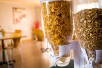 Cherry Blossom Motor Inn