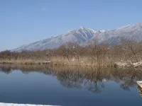 Maikoya