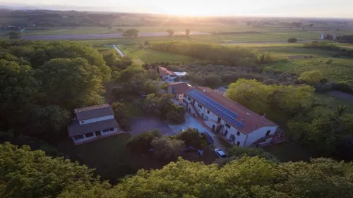 Beautiful Farmhouse 20 km from Pisa with Swimming Pool - Apartment Le Mimose