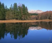 Best Western Crianlarich Hotel Hotels in Crianlarich