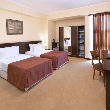 Ani Central Inn