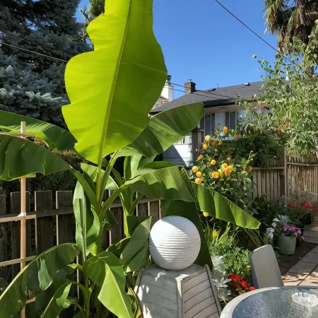 Cozy Bedrooms Guest House Отели рядом с достопримечательностью «Vancouver Olympic Centre»