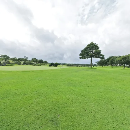 JEJU RAON GOLF CLUB VILLAGE Отели рядом с достопримечательностью «Ботанический сад Панлимвон»