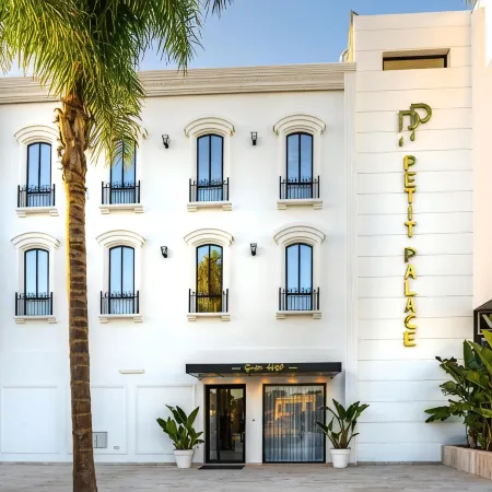PETIT PALACE SUITES HOTEL Отели рядом с достопримечательностью «Пристань для яхт Адагира»