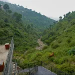 Misty Winds Kasauli