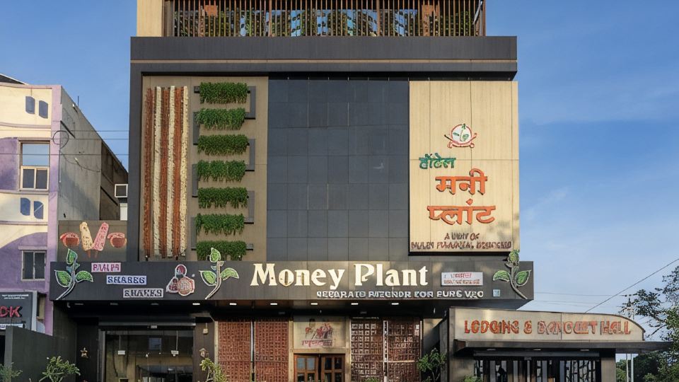 Hotel Money Plant
