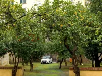 Palazzo Sant'Antonio Hotels near Sant'Elmo Castle