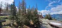 Duplex Apartment in Arc 1800, Savoie, 40m2, ski in/out - Homestays
