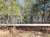 Cedar Rock-Lakefront Secluded Charming Cabin; Very Private