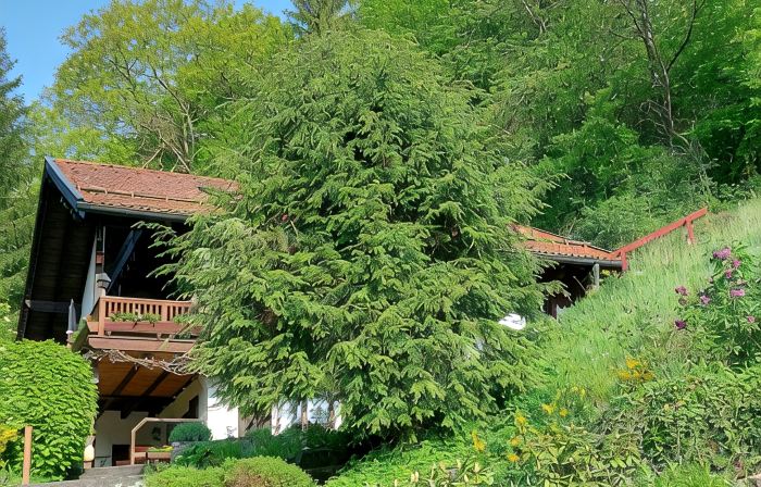 Ferienwohnung mit Fantastischem Ausblick, Direkt am Wald