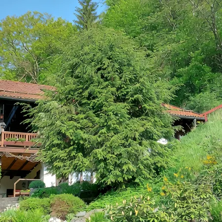 Ferienwohnung mit Fantastischem Ausblick, Direkt am Wald