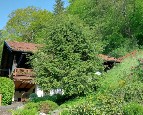 Ferienwohnung mit Fantastischem Ausblick, Direkt am Wald Hotels in Walkenried