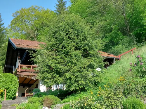 Ferienwohnung mit Fantastischem Ausblick, Direkt am Wald