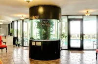UPDATED Beach Front Condo - Holiday Isle 302 - Pool, Sauna, Hot Tub, Grill, W/D