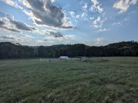 Watauga Flats Farm – A Working Farm Stay with Rustic Charm & Modern Comfort! - 4-Star