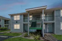 The Orchid by DNY Prime  minutes to Busch Gardens and USF