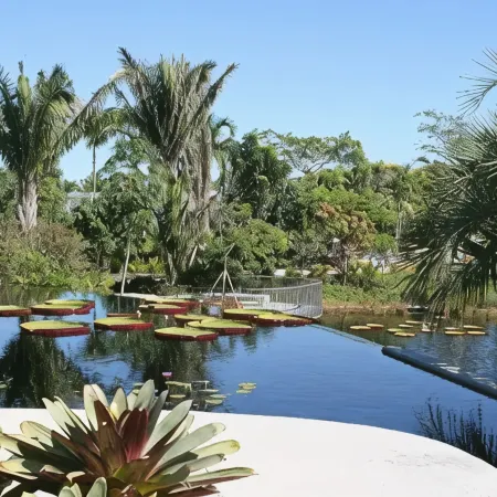 Close to parks, beaches and downtown Naples
