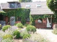 You will find relaxation and a peaceful idyll here in the Apartment-Feldsteingarten - Apartments