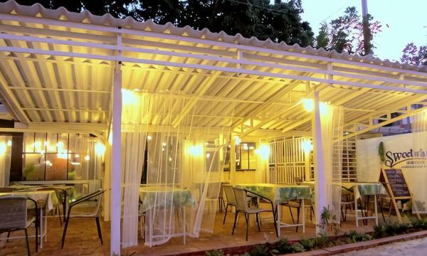 Chiang Mai D Hostel