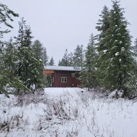 Cabin in the woods with all the comforts of home