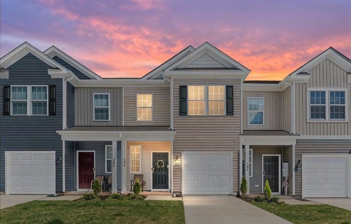 Spacious 3Br Townhome Near Luray Caverns & Shenandoah, Family & Pet-Friendly