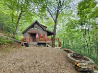 Life is a HOOT in the mountains of Suches
