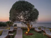 Cretan Dream Resort & Spa Hotels in Stalos