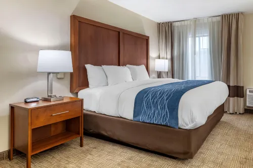 Comfort Inn & Quality Suites - ジム