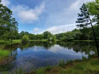 Completely remodeled 1940's farmhouse with Gorgeous pond views!! - Kitchenette
