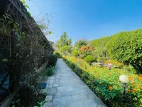 Travellers Jungle Camp Hotels in Sauraha