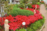 Taean Modern186 Pension - spa