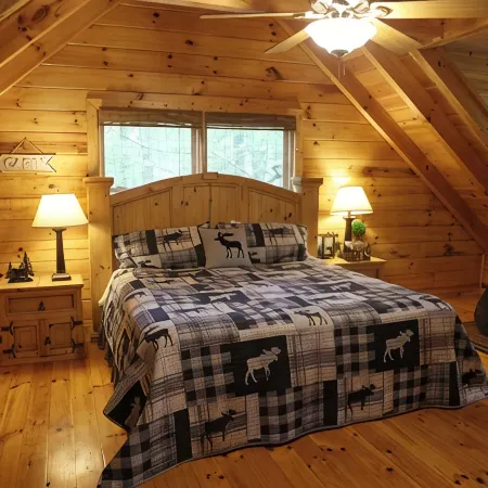 Charming 3-bedroom cabin with WiFi, AC ten mins from downtown Blue Ridge