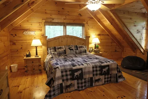 Charming 3-bedroom cabin with WiFi, AC ten mins from downtown Blue Ridge - 3-Star
