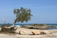 Spacious country house with pool, barbecue, family friendly! - Villas