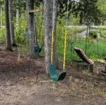 Beautiful Year Round - Creekside Cabin - Near RMNP - Dog Friendly - Alphydda