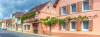 Hotel Altes Weinhaus - Wifi