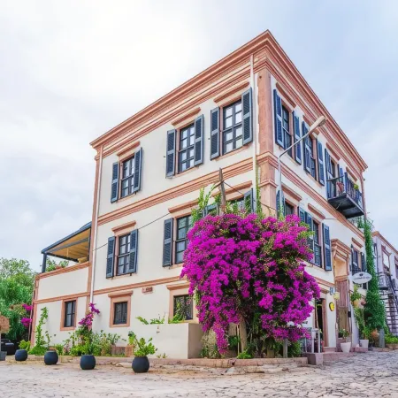 Siyah Lale Cunda 1841