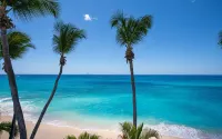 Impressive 3 bedrooms condo on Mullet Bay Beach - 3-Star