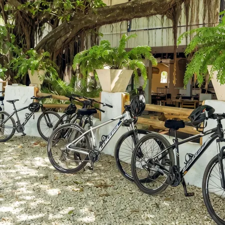 Villa Potrero Luxury Private Beachfront Home with Housekeeper, Concierge