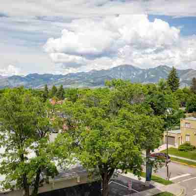 Bozeman 406 Downtown Loft with Indoor Parking! Others