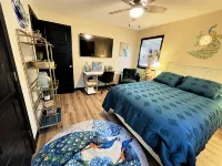 Stylish and funky, minutes away from everything NWA has to offer! - Wi-Fi