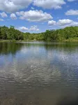 Cozy Cottage on Our Private Lake and 75 Wooded Acres - Homestays