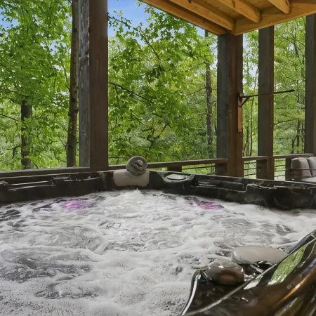 New Luxe Treetop Cabin  Hot tub  Near DT